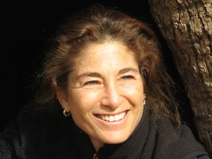 Meditation: Letting Life Live Through You