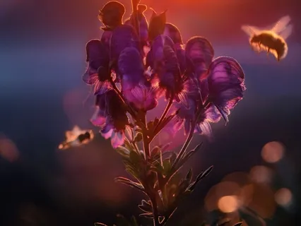 Meditation Masterclass Day 3: Connect with Your Inner Self