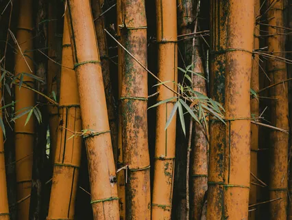 Meditation Masterclasses Day 1: Relax & Expand Consciousness