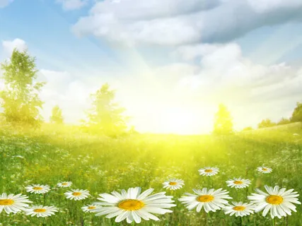 Meditation Me Under The Microscope