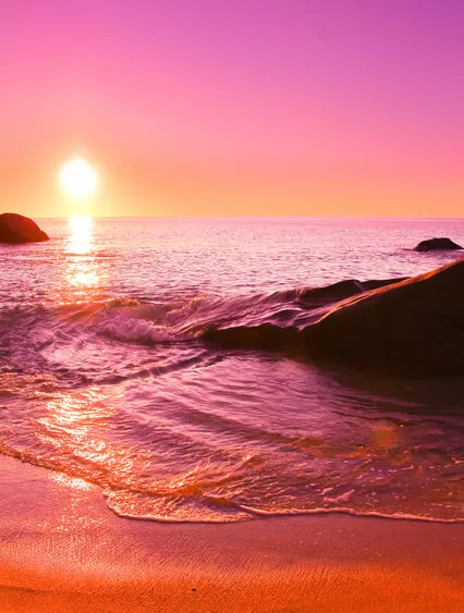 Meditation med buddhorna och alla levande varelser