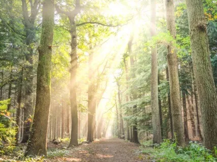 Meditation Minute: Connect To Calm