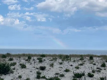 Meditation Sampler: 5 Calming Techniques