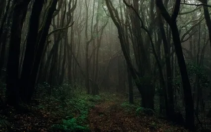 Meditation Music - Chakra