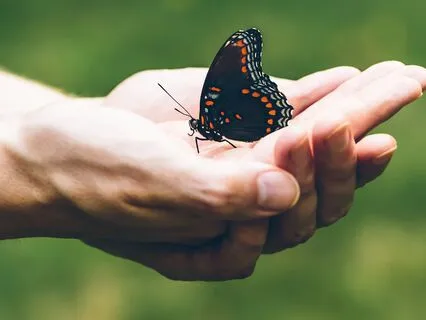 Meditation Music | Clear Negative Energy Super Fast