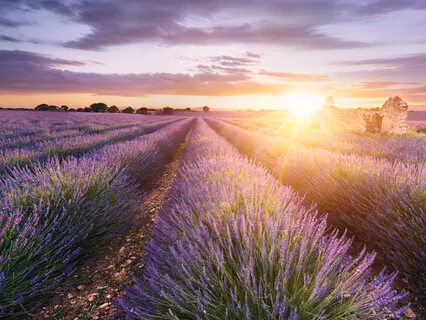 Meditation Music: Continuous Drone