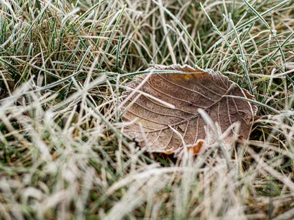 Meditation Music For A Calm Mind