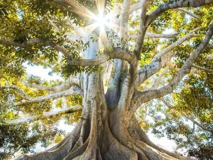 Meditation Music For Deep Focus & Relaxation