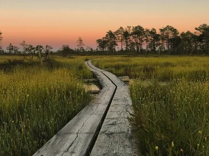 Meditation Music For Peace & Relaxation