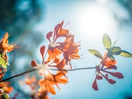 Meditation Music For Positive Energy