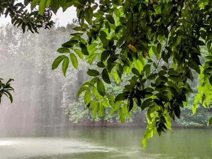 Meditation Music For Stress Relief - Background Music