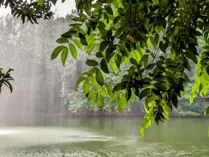 Meditation Music For Stress Relief