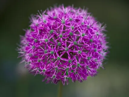 Meditation Music Inner Journey