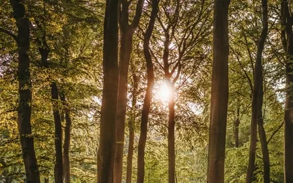 Meditation Music - Positive Energy - Relaxing Music