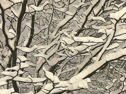 Meditation Music: Snowfall In Idaho