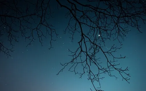 Meditation Music To Calm Your Thoughts