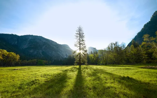 Meditation Music To Set You Free From Grief - 25 Min