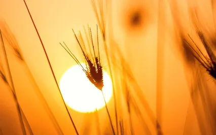 Meditation Music To Unwind & Relax - Sunset - Sound Therapy