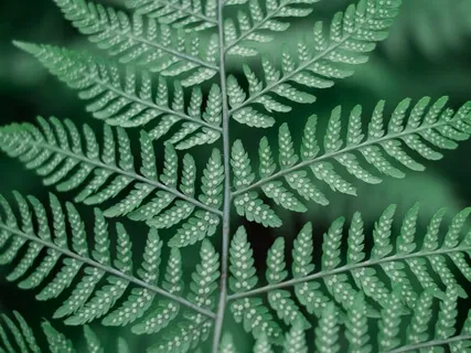 Deep Meditation Music - Heart Chakra - Love