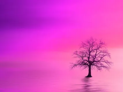 Méditation musicale : gestion du stress (sons binauraux)