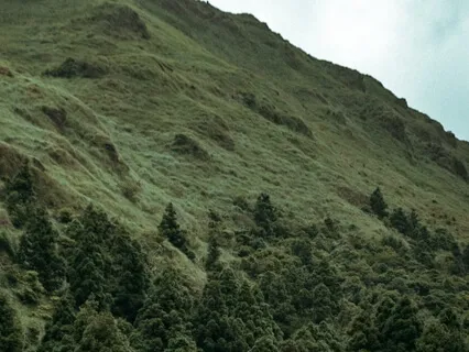 Meditation Of Boldness