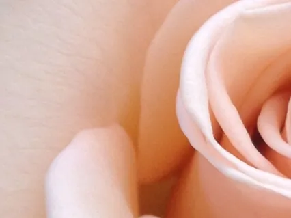 Meditation Of Deep Connection & Love