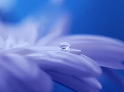 Meditation Of Self Care