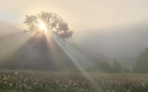 Meditation On Abundance