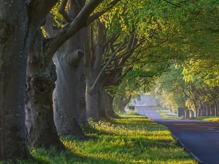 Accepting And Trusting Myself As A Caring Being