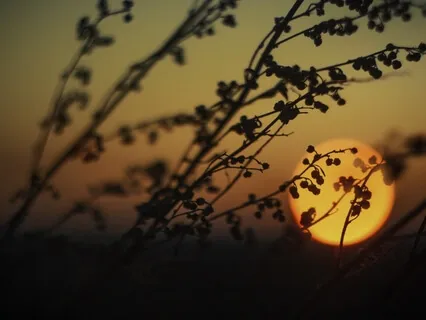 Meditation On Allowing And Aversion