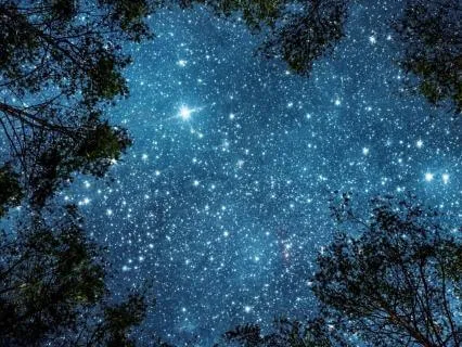 Meditation On And For Acceptance Of What Is