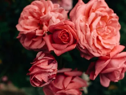 Meditation On Compassion & Forgiveness