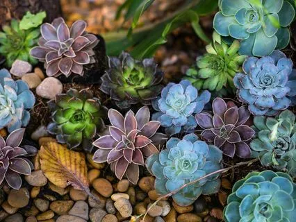 Meditation On Conscious Living