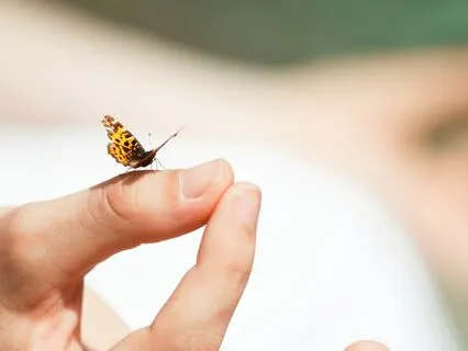 Meditation On Duality (Bhagavad Gita Reading And Reflection)