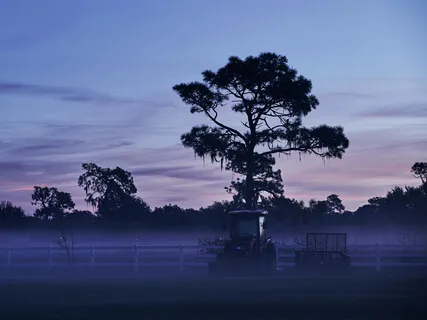 On Finding Trust & Faith Again