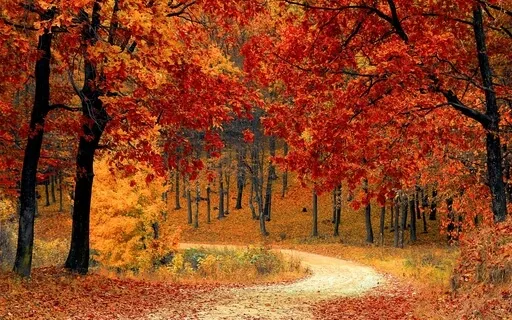 Meditation On Forgiveness