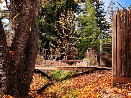 Meditation On Getting Curious