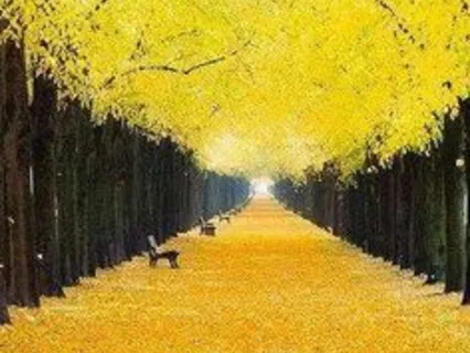 Meditation on Gratitude