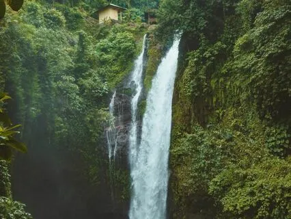 Meditation on Gratitude: The Love Code Series