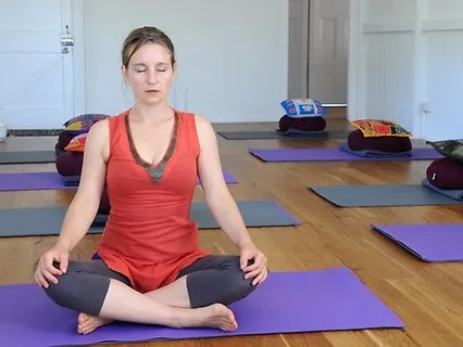 Meditation On Gut Brain Connection