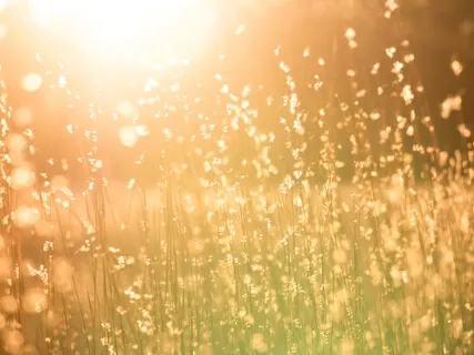 Meditation On Happiness: The Soul Is Happy