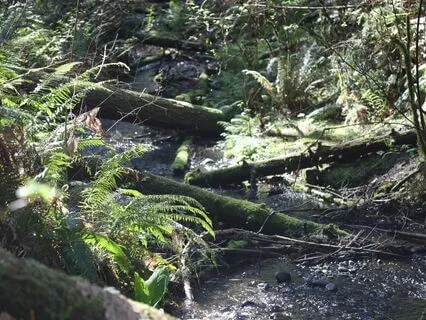 Meditation On Letting Go