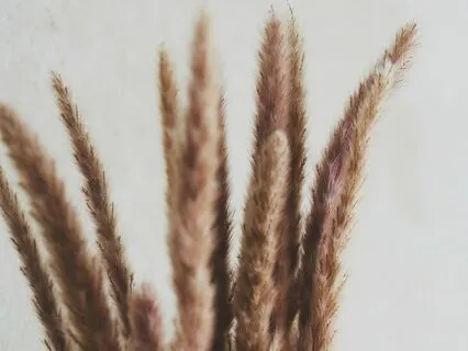 Meditation On Love (Metta - Loving Kindness)