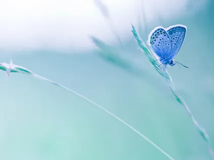 Loving-Kindness Practice For Gratitude & Positivity