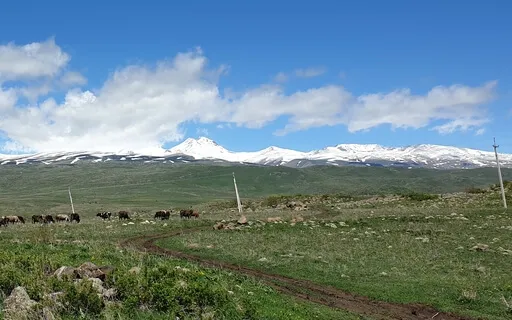 Meditation On Mindfulness