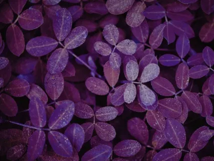 Meditation on Motivation