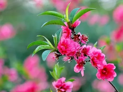 Meditation On Om, Leads To Highest Mindfulness-1