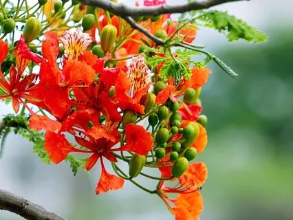 Meditation On Om, Leads To Highest Mindfulness-2