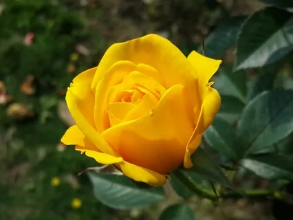 Meditation On Om, Leads To Highest Mindfulness-3