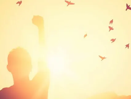 Meditation On Our Conditioning